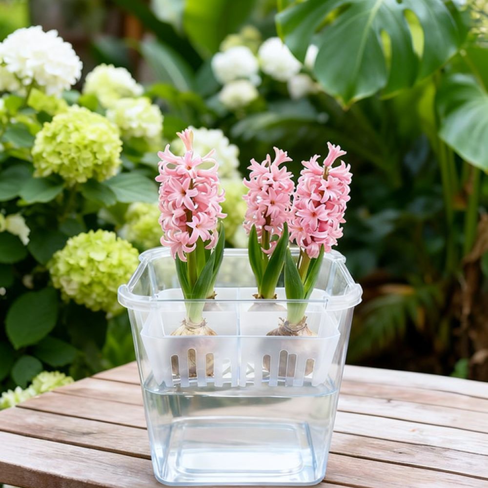 Vas Hidroponik untuk Bunga Tul - Vase Decor ulasan dan harga