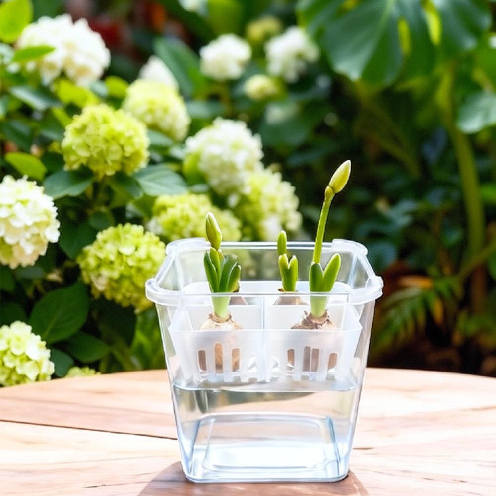 Vas Hidroponik untuk Bunga Tul - Vase Decor ulasan dan harga