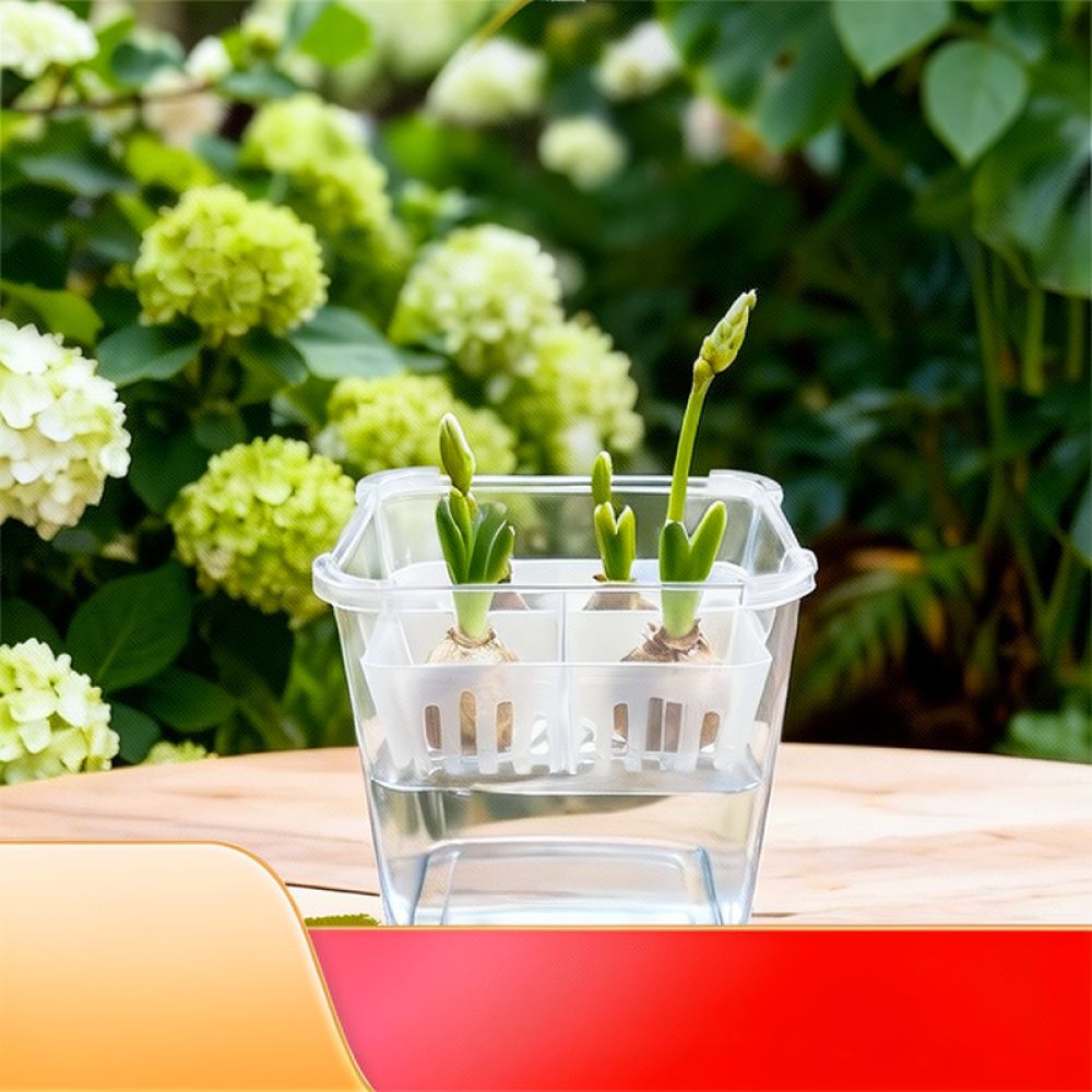 Vas Hidroponik untuk Bunga Tul - Vase Decor ulasan dan harga