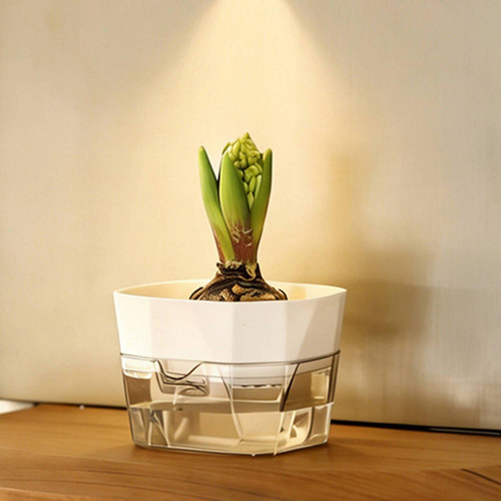 Vas Hidroponik Dua Lapis Penye - Vase Decor ulasan dan harga